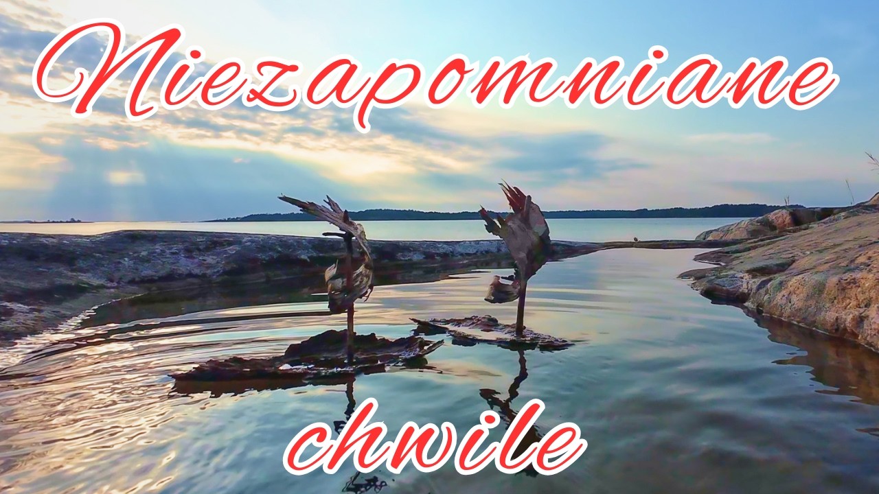 Niezapomniane chwile w naturze - Niedźwiadki na szlaku Purunpää / Finlandia