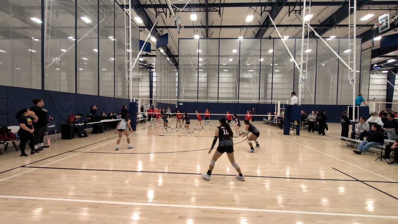 Tropical Touch - 15 Teine Matalasi vs Encore 15 Red