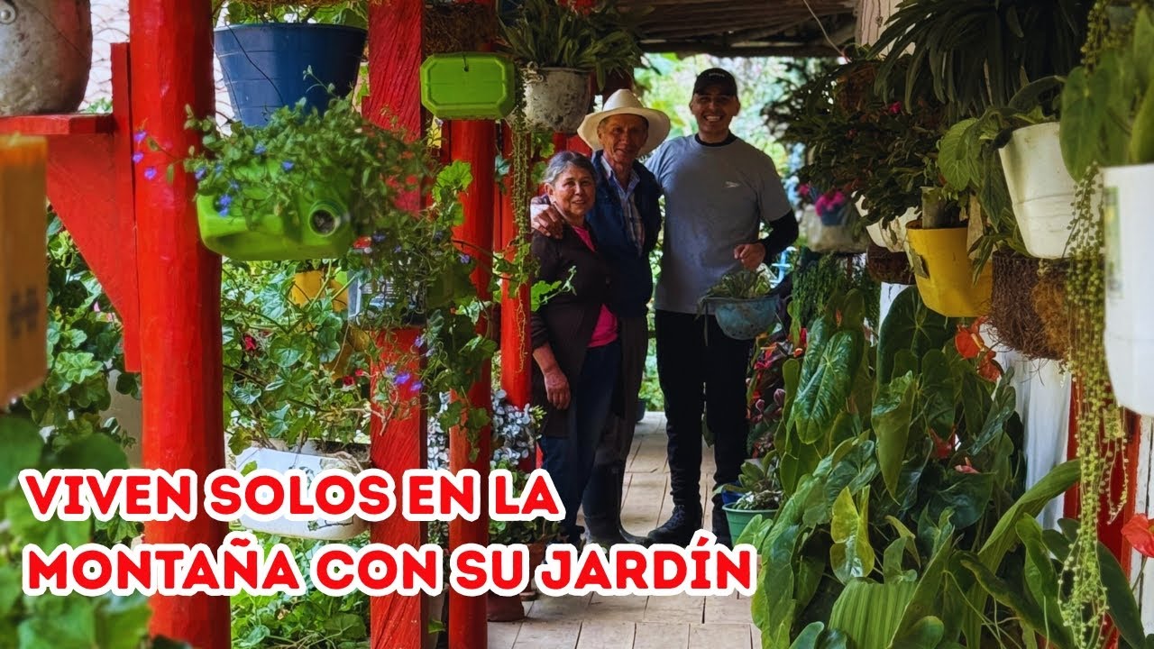 Hermoso JARDÍN en medio de la NADA, siempre hay esperanza para cultivar PLANTAS |AP