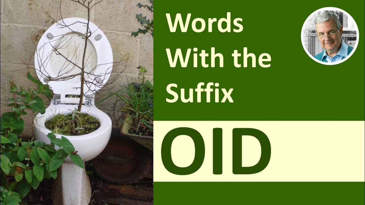 Words With the Suffix OID (7 Illustrated Examples)