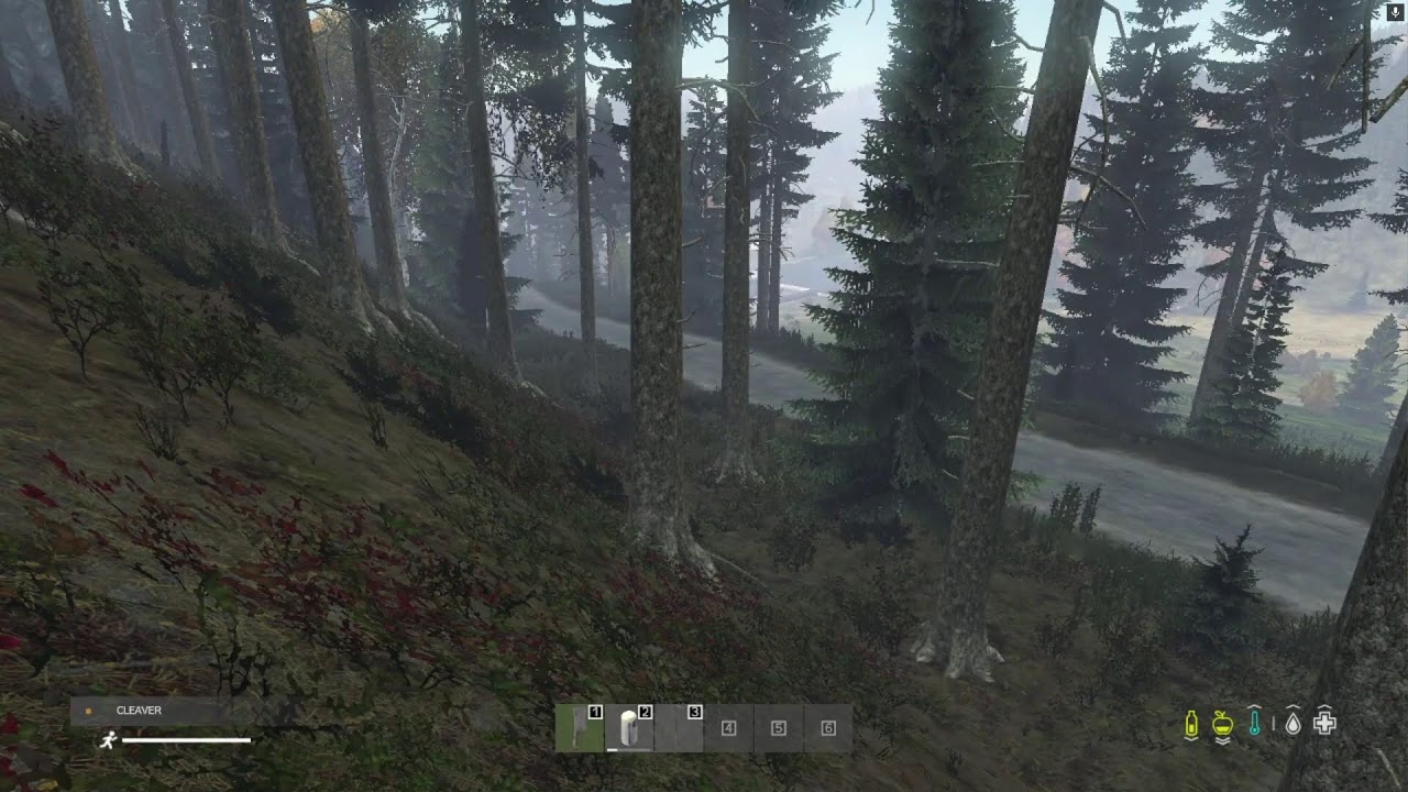 roblox night sesh