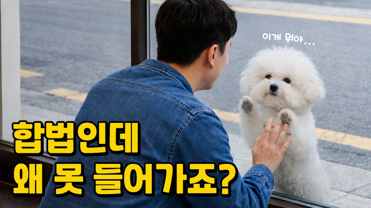 강아지 동반 합법인데 왜 갈 곳이 더 없어지나요? (소신발언 하겠습니다)