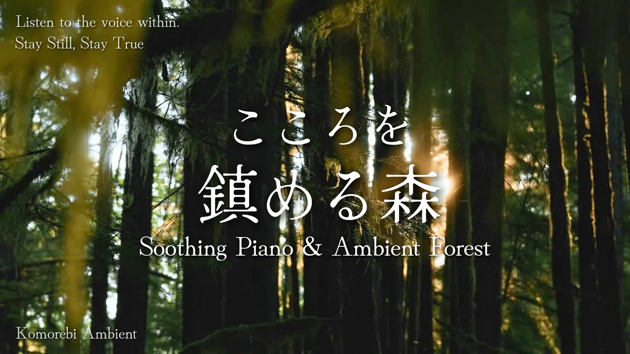 Deep Sleep & Meditation Music 🌿 Soothing Piano & Forest Sounds 1.5 Hours