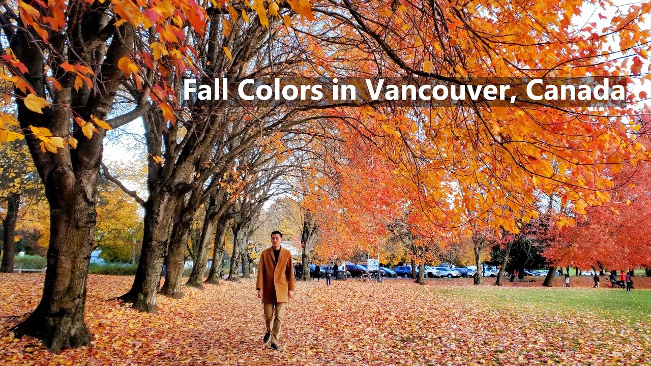 Fall Colors in Vancouver, Canada  | Stunning Autumn Scenery Around the City