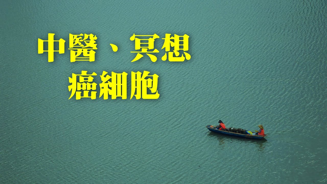 王亭之: 中醫、冥想、癌細胞 - 關於中醫、冥想和癌症對人類健康影響的對話