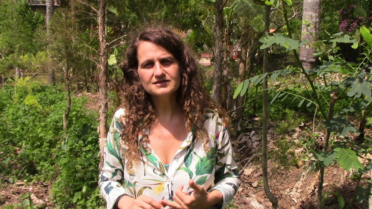 SÍTIO AMARANTO - SÃO ROQUE-SP