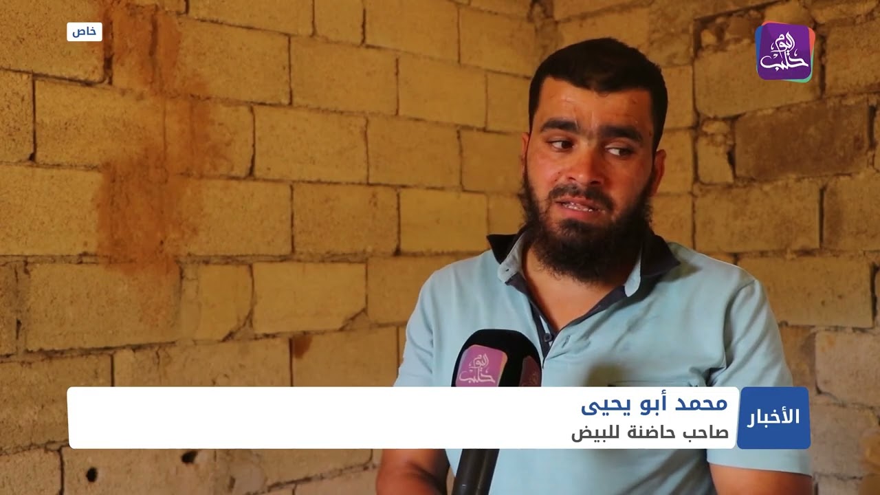 تربية دجاج الزينة تلقى رواجاً شمال حلب