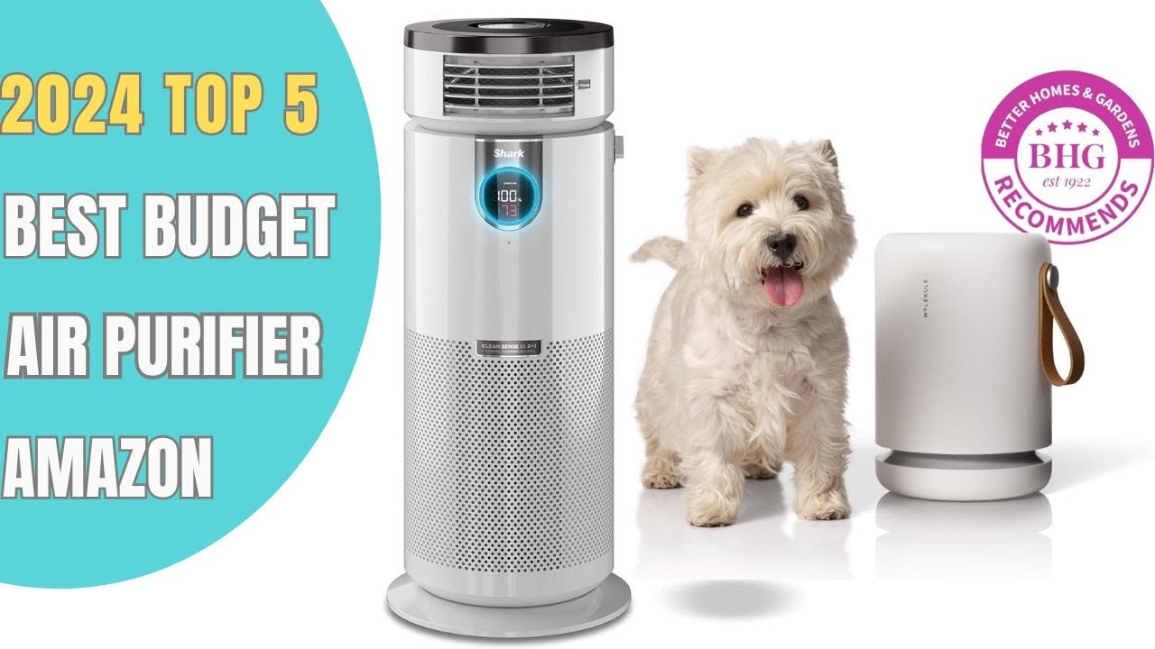 ✅ Top 5: Best Air Purifiers for Fresh Air, Tested in 2024 Reviwed
