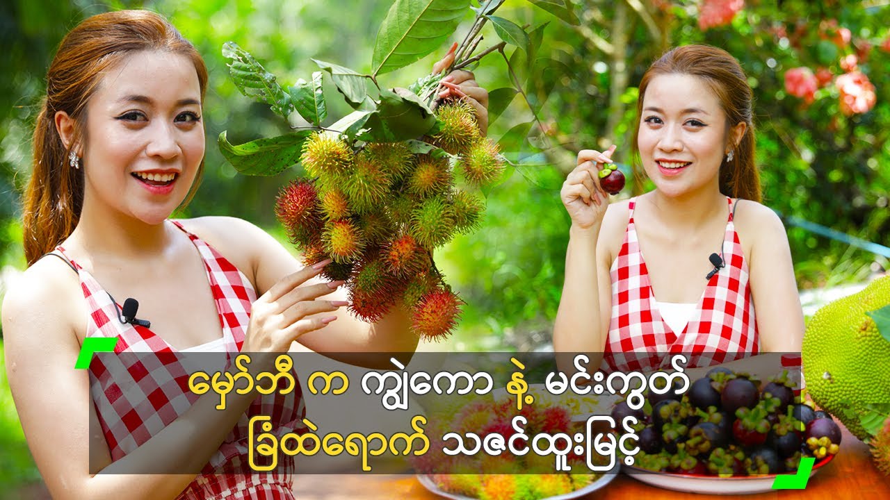 မှော်ဘီ က ကျွဲကော နဲ့ မင်းကွတ် ခြံထဲရောက် သဇင်ထူးမြင့်