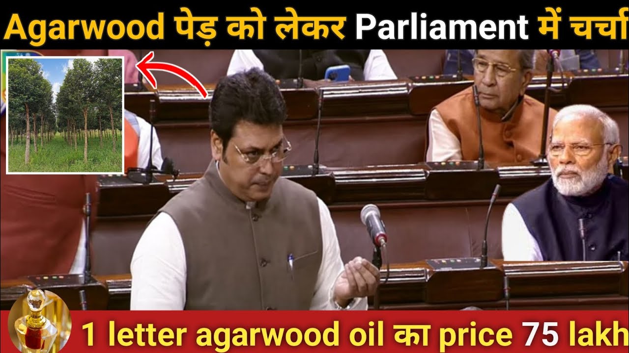 CM ने किया Agarwood पेड़ को लेकर parliament में चर्चा || Agarwood farming #agarwoodfarming#business