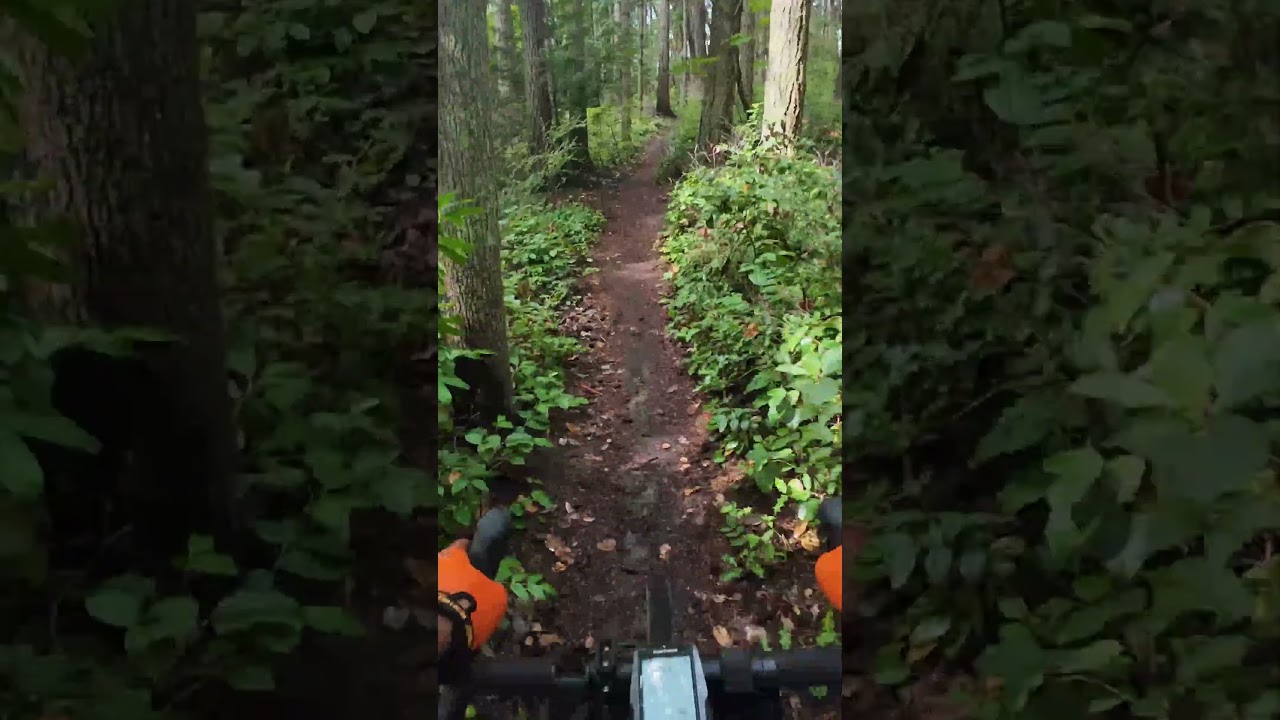 Tire Test Schwalbe on chunder  All round 45 mm Tubeless