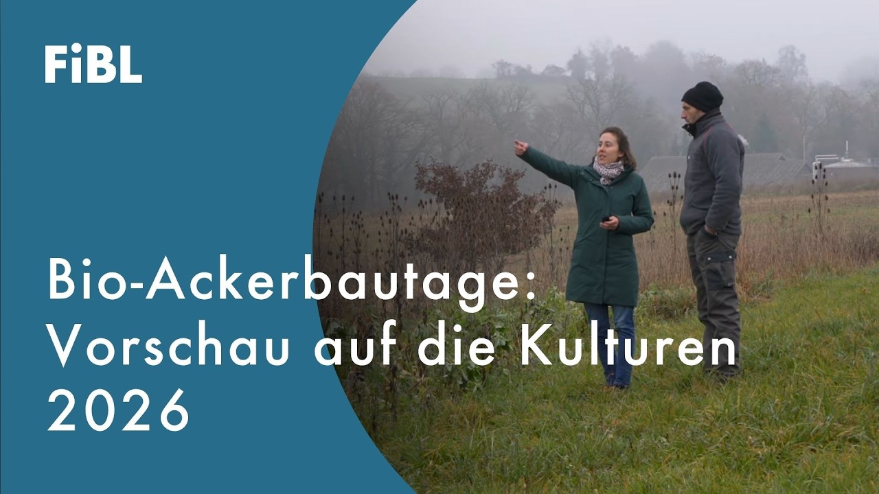 Bio-Ackerbautag 2026 - Vorschau auf die Kulturen