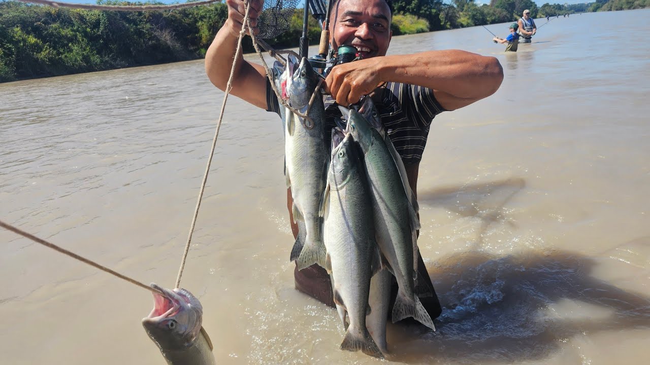 Salmon fishing at Puyallup River Washington State.
