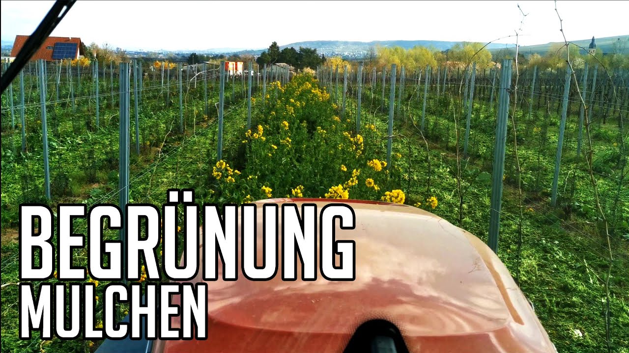 BEGRÜNUNG mulchen | Wieso, Weshalb, Warum 🚜