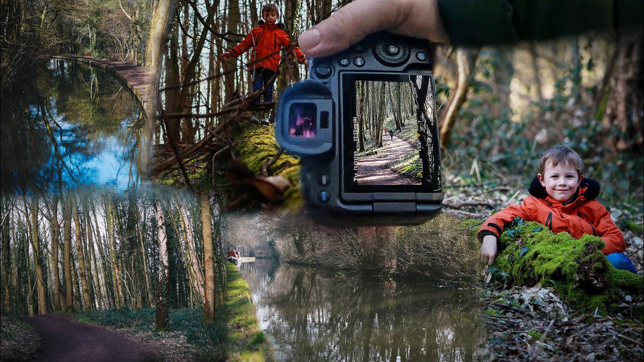 Canon EOS R6 - Woodland POV Photography