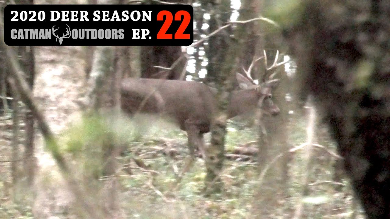 Buck didn't know I was there! Stillhunting New Ground - 2020 Deer Season Ep 22