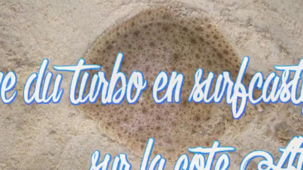 SurfCasting : Pêche du turbot en hiver