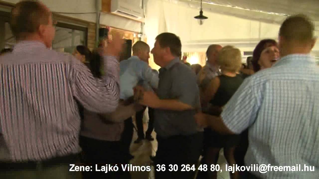 Lajkó Vilmos: Pocsolyába léptem
