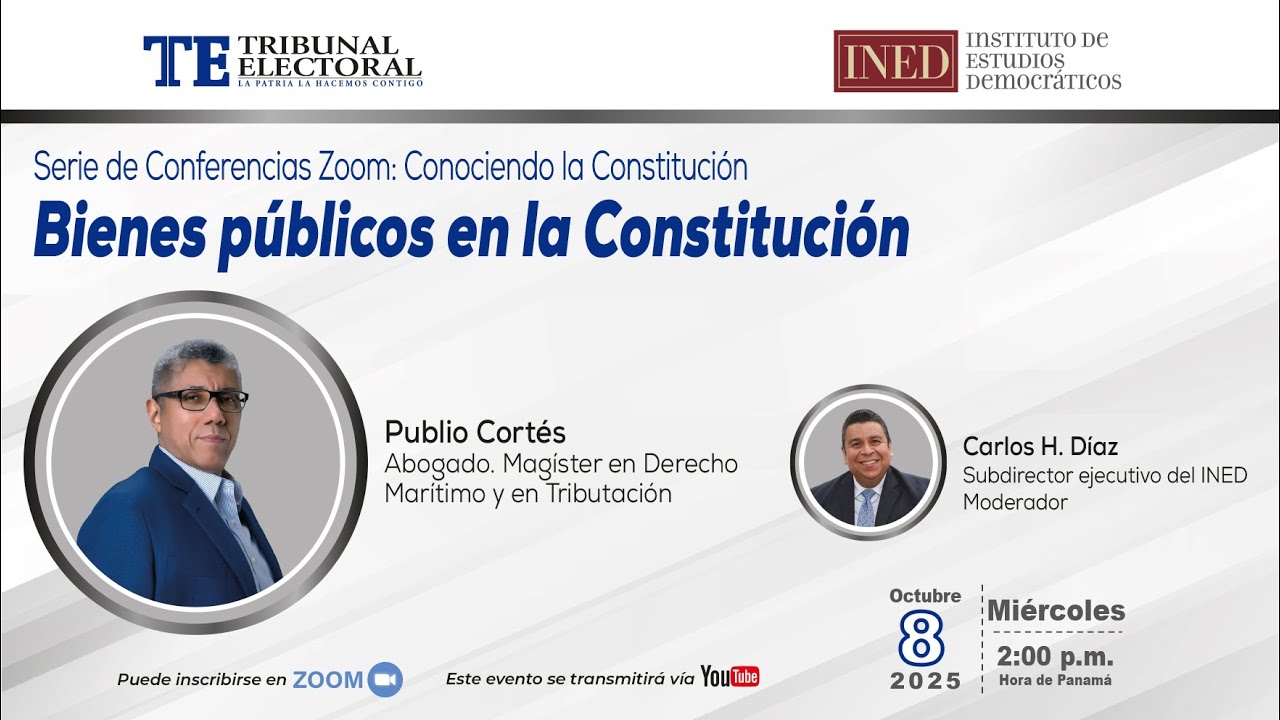 Bienes públicos en la Constitución