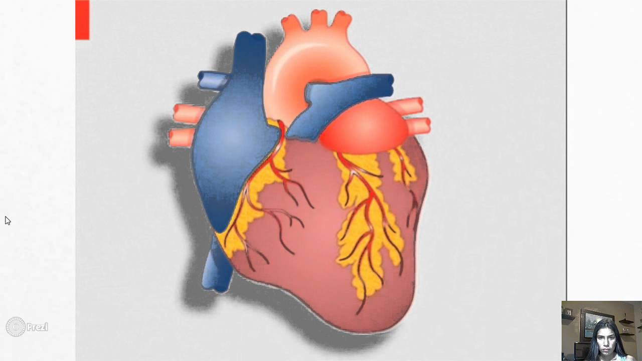 A leadless intracardiac transcatheter pacing system
