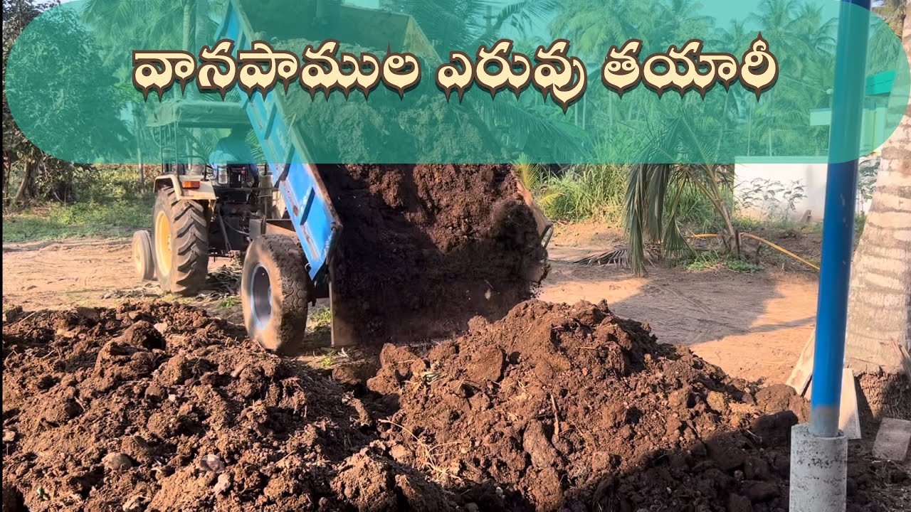 Vermicompost unit setup | Vermicompost preparation | తెలుగు లో  | వర్మీకంపోస్ట్ తయారీ చేస్తున్నాము