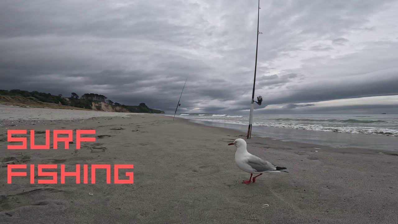 Beach Fishing Pukehina New Zealand
