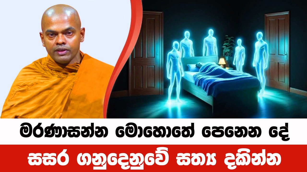 සසර ගනුදෙනු නිමාකිරීමට කළයුතුම දේ මෙයයි | Kiriwaththuduwe Ariyadhassana Thero | Pattana Deshana 118