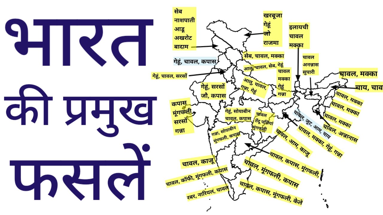 भारत की प्रमुख फसले || Major crops of India || Agriculture in India || Indian geography