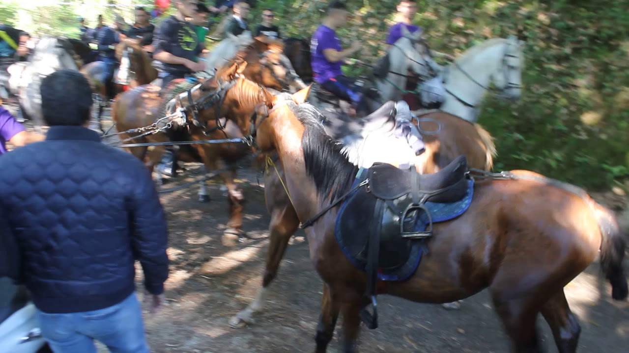 MVI 6598 XVIII ROMERIA DEL CABALLO SABADO 18-5-2019 RIBADELOURO