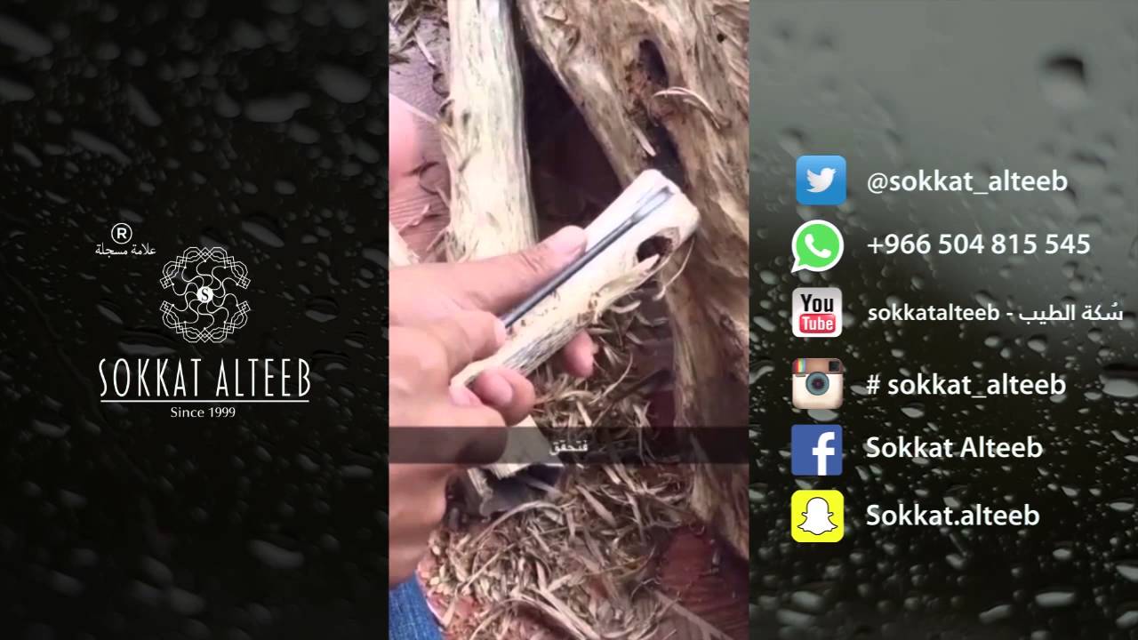 سناب سكة الطيب - رحلة أدغال تراد 2016