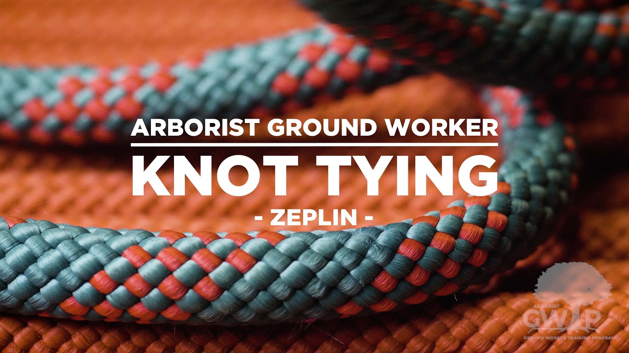 Knot   Zeplin