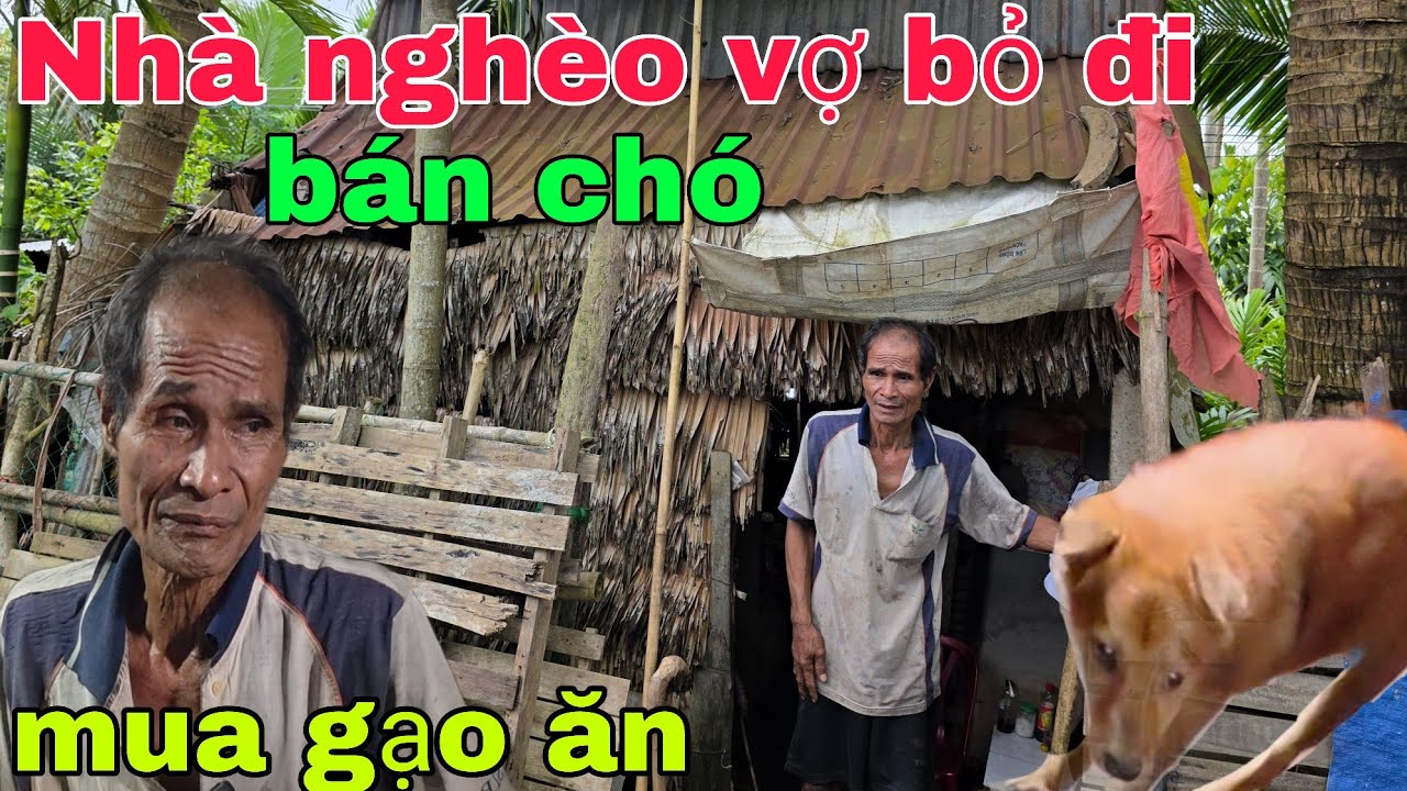 Nhà nghèo vợ bỏ đi Ông lão bán chó mua gạo ăn