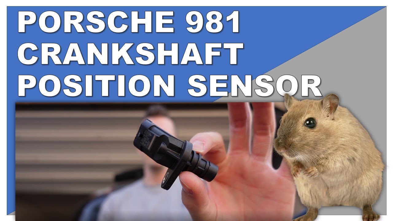 A MOUSE BROKE MY PORSCHE! REPLACING CRANKSHAFT POSITION SENSOR| 2014 Porsche 981 Cayman S Repair