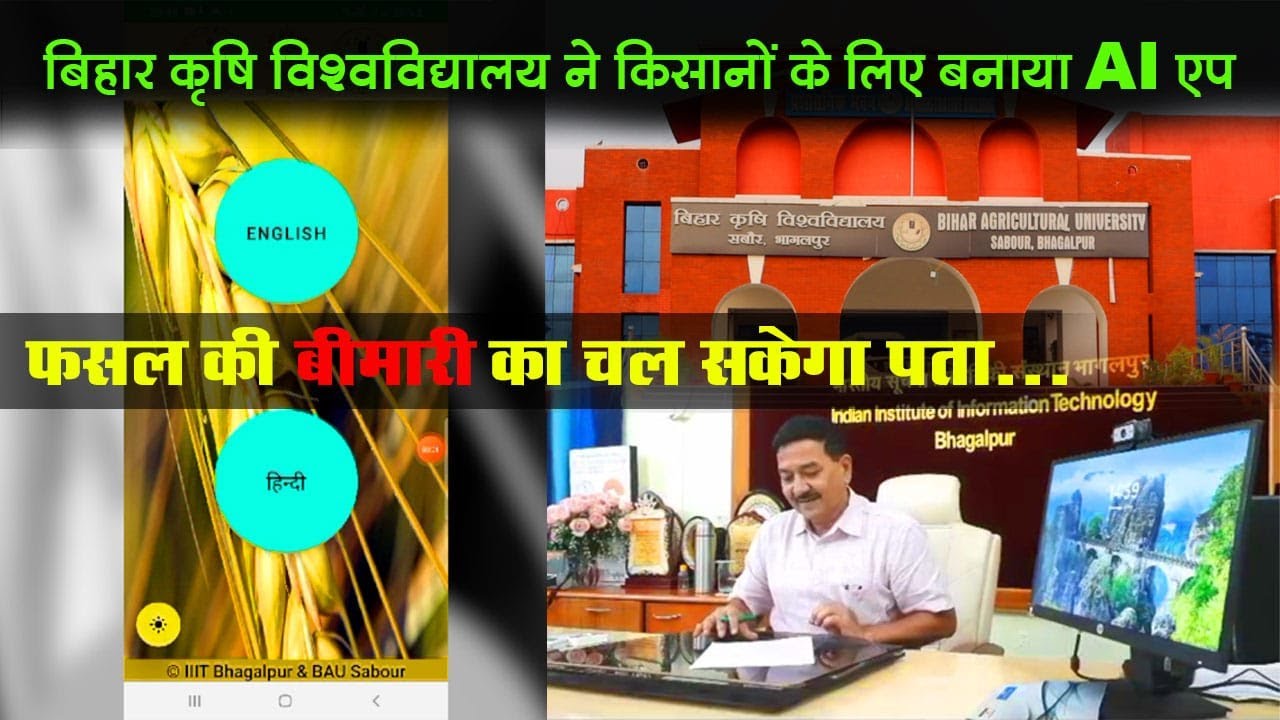 ANGVANI/BHAGALPUR: WORLD'S 1ST AI APP FOR FARMERS IN BGP। AGRICULTURE UNIVERSITY। IIIT BHAGALPUR