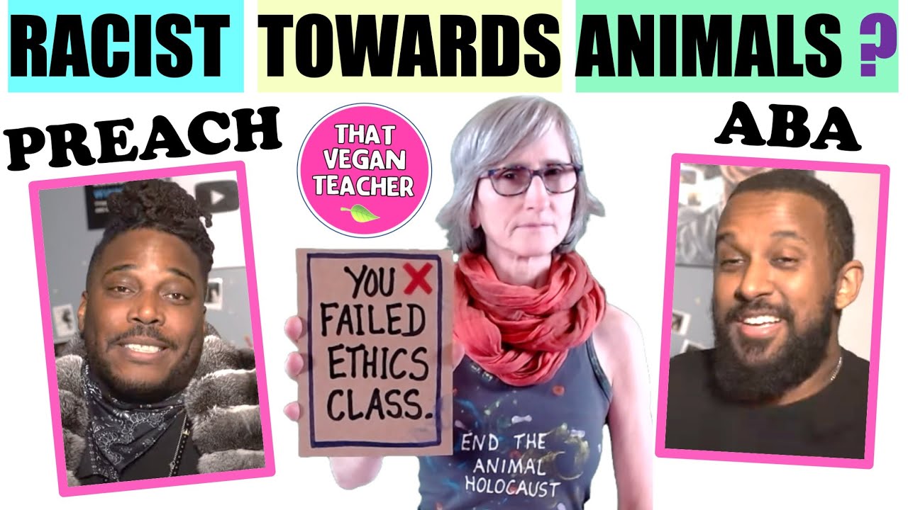 @AbaNPreach Chinchillas are not yours to eat or wear. Eat vegan food with me in Montreal instead!