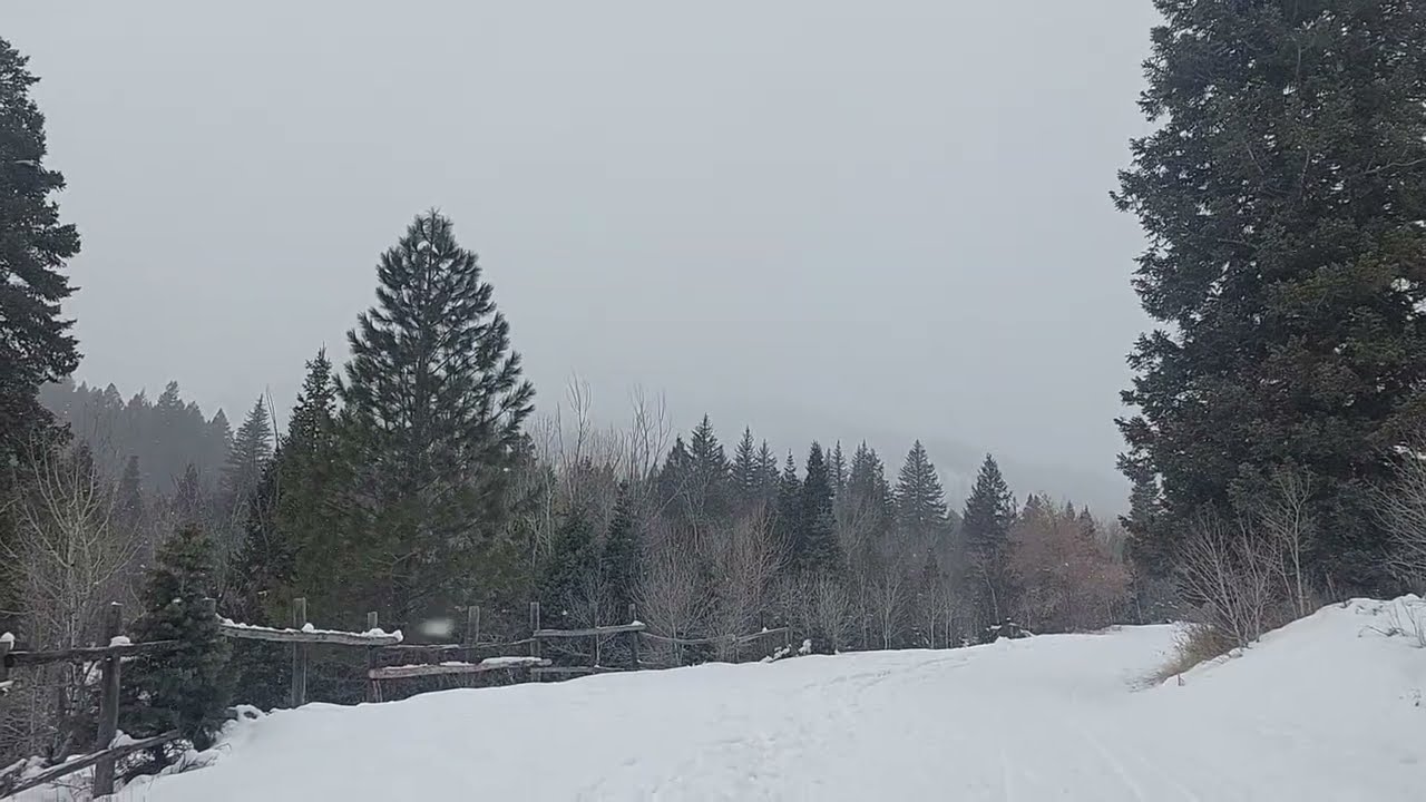 2 minutes of snowing in the mountains