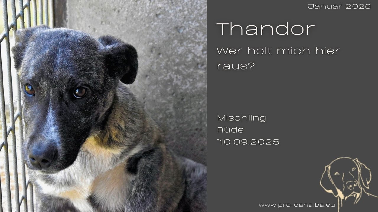 Thandor – Wer holt mich hier raus?_Januar26