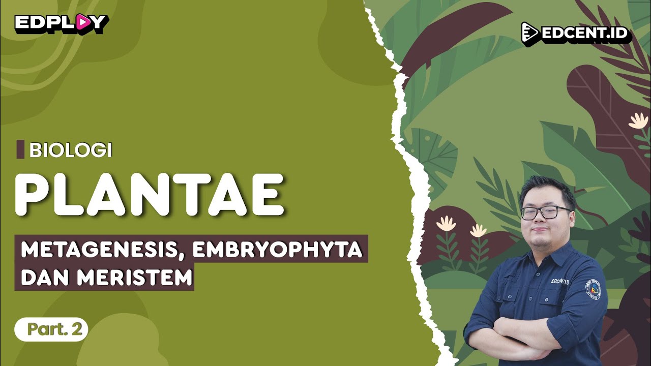 Materi Biologi: Kingdom Plantae | Metagenesis, Embryophyta, & Meristem Apikal | Part 2