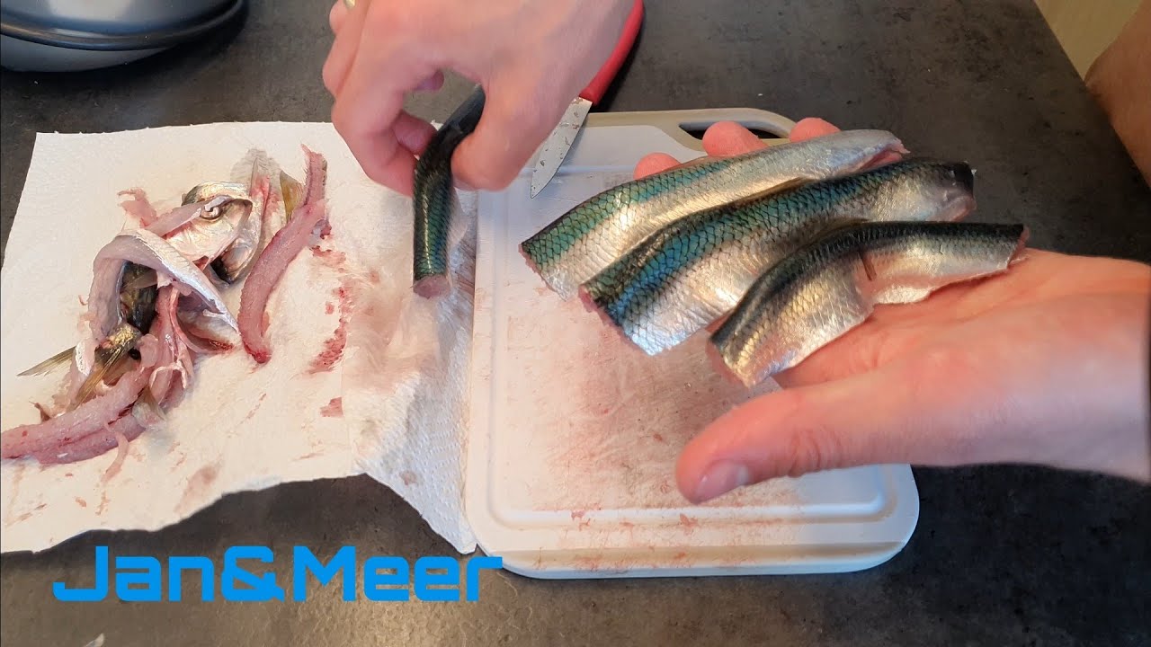 Hering Doppelfilet schneiden