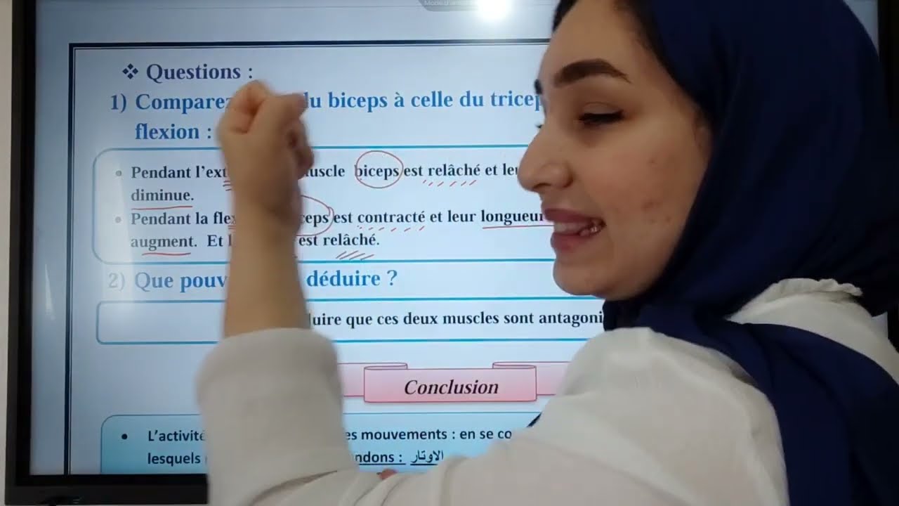 Système musculaire (3AC) الجهاز العضلي