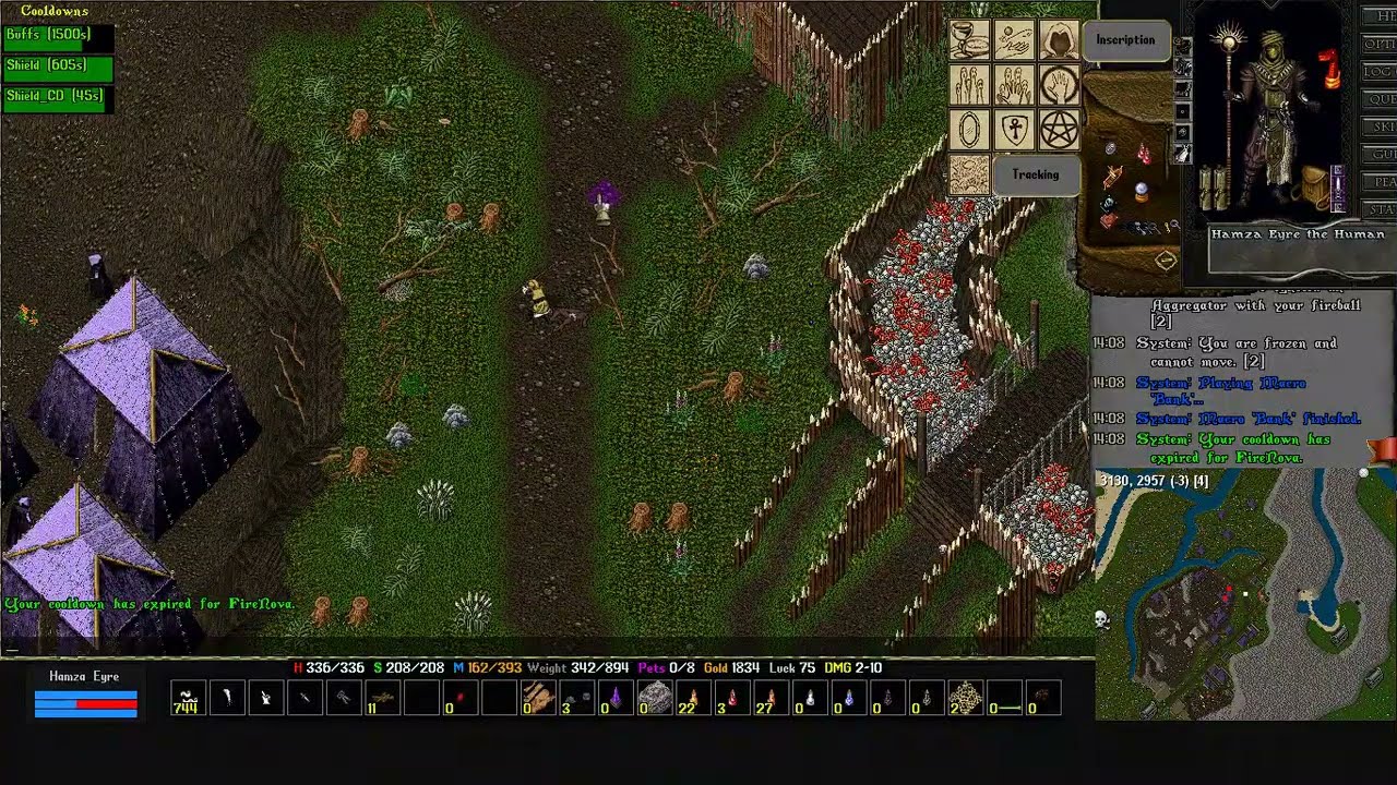 [REGISFALL UO] Pyromancer gameplay, DoT build (No Commentary)