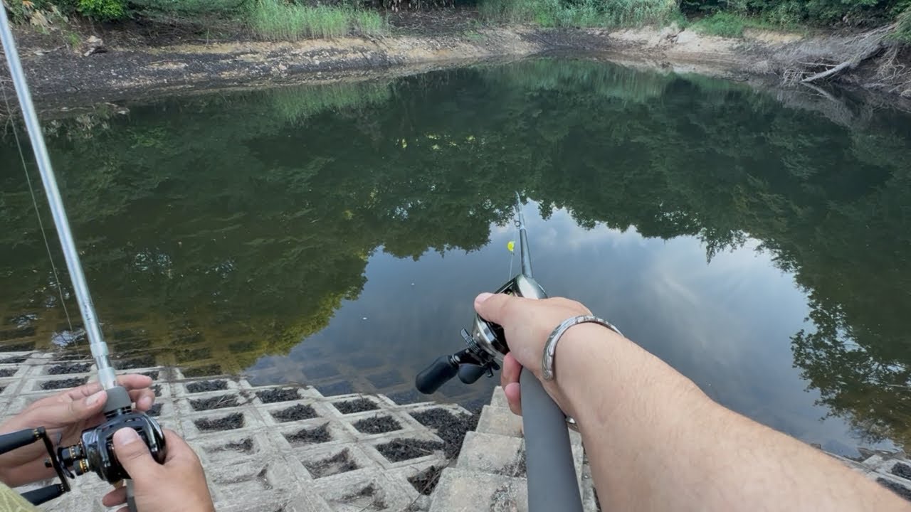 釣れまくる池がヤバすぎた