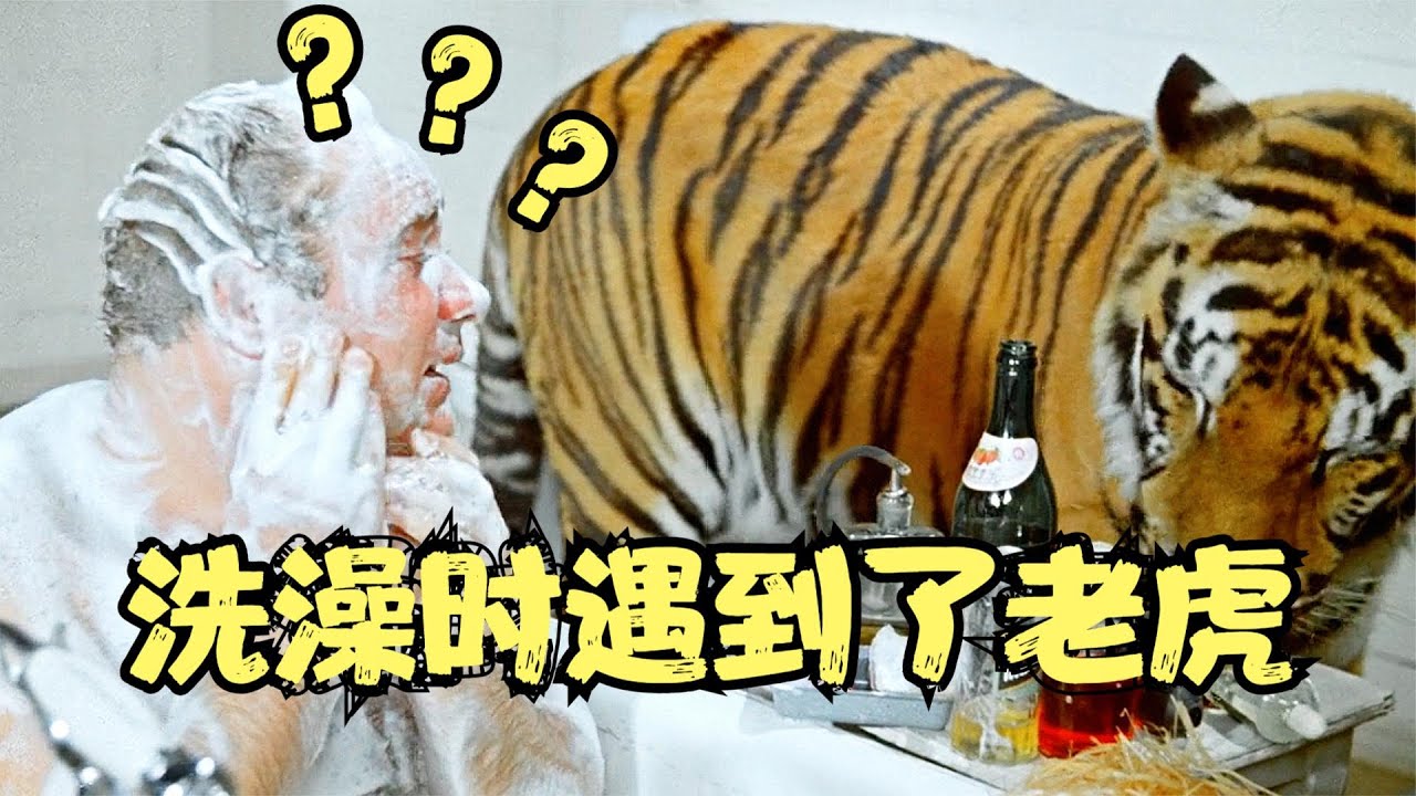 前蘇聯拍攝的喜劇電影，廚師冒充馴虎員，結果遇到了真老虎