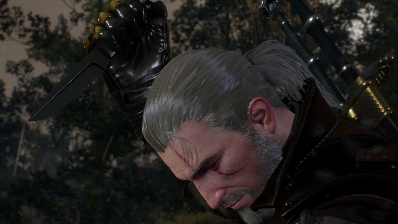 The Witcher 3 : Contract The Creature From Oxenfurt Forest - Finding Zireael Armor