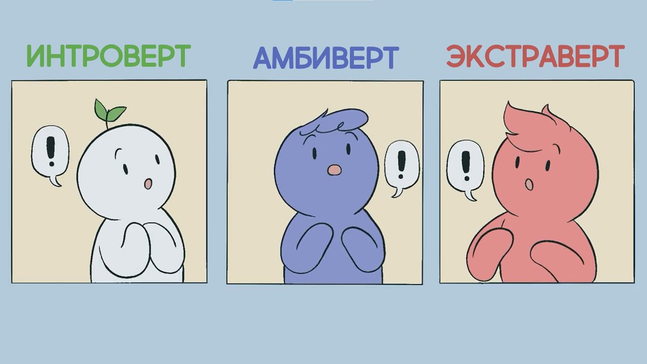 7 признаков того, что вы - амбиверт (Introverts Unite на русском)