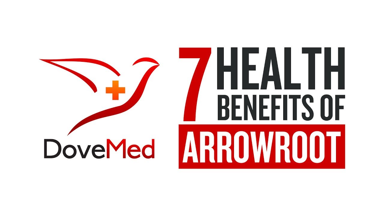 7 Health Benefits Of Arrowroot