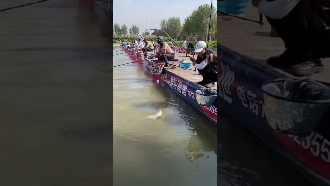 Bestes asiatisches Angelvideo 🐟 Wochenendangeln 🐟 