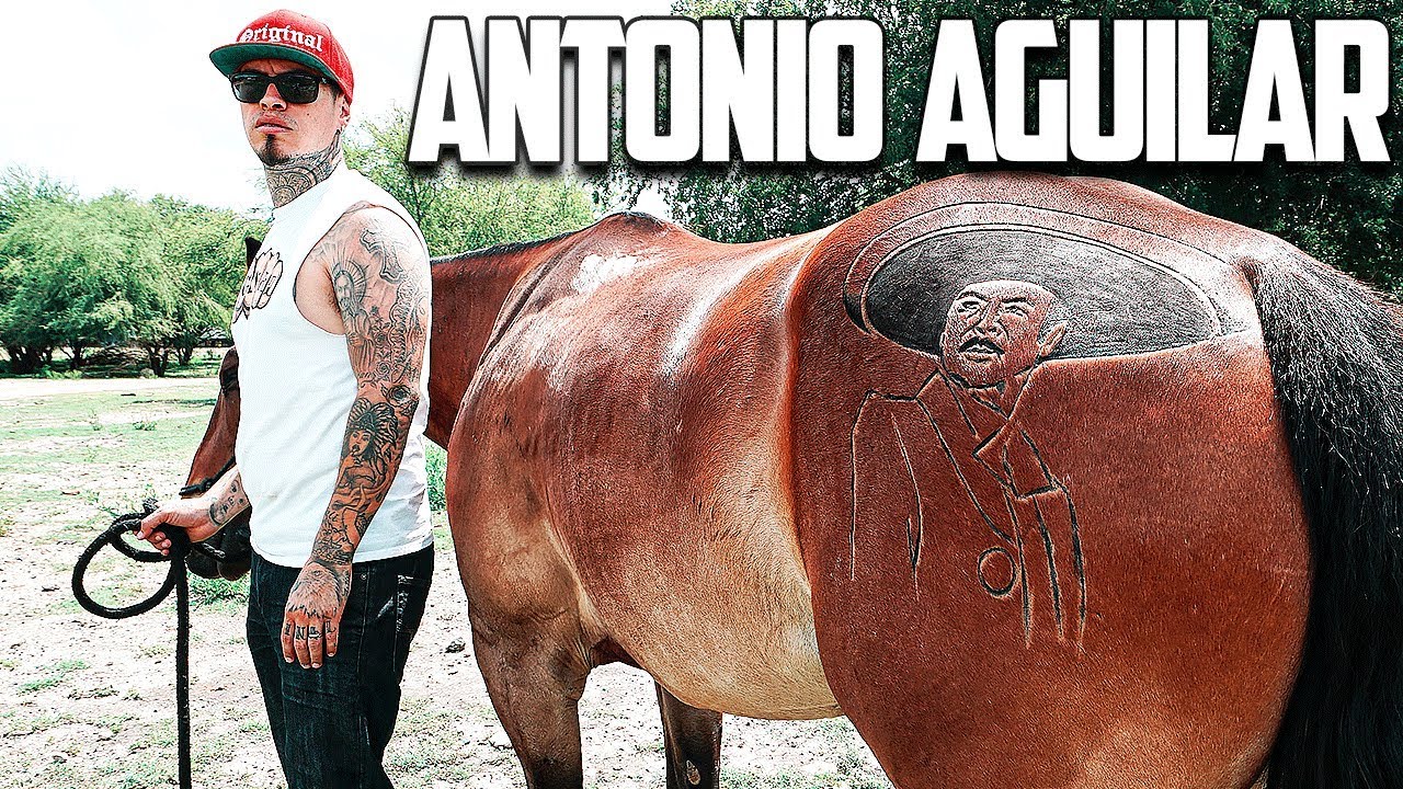 Antonio Aguilar PORTRAIT on a HORSE!