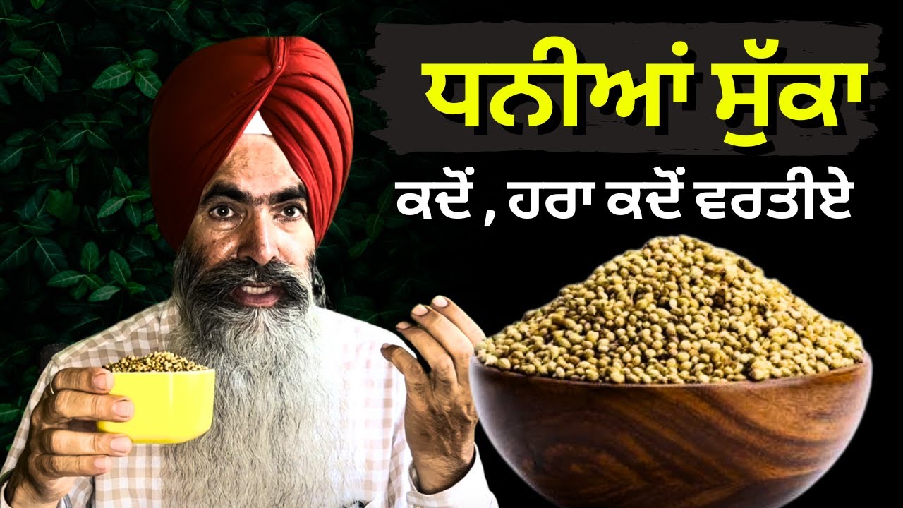 Dhaniya Seeds Health Benefits: साबूत धनिया खाने के जानिए सेहतमंद फायदे | By Dr. Ranjit Singh Pannu
