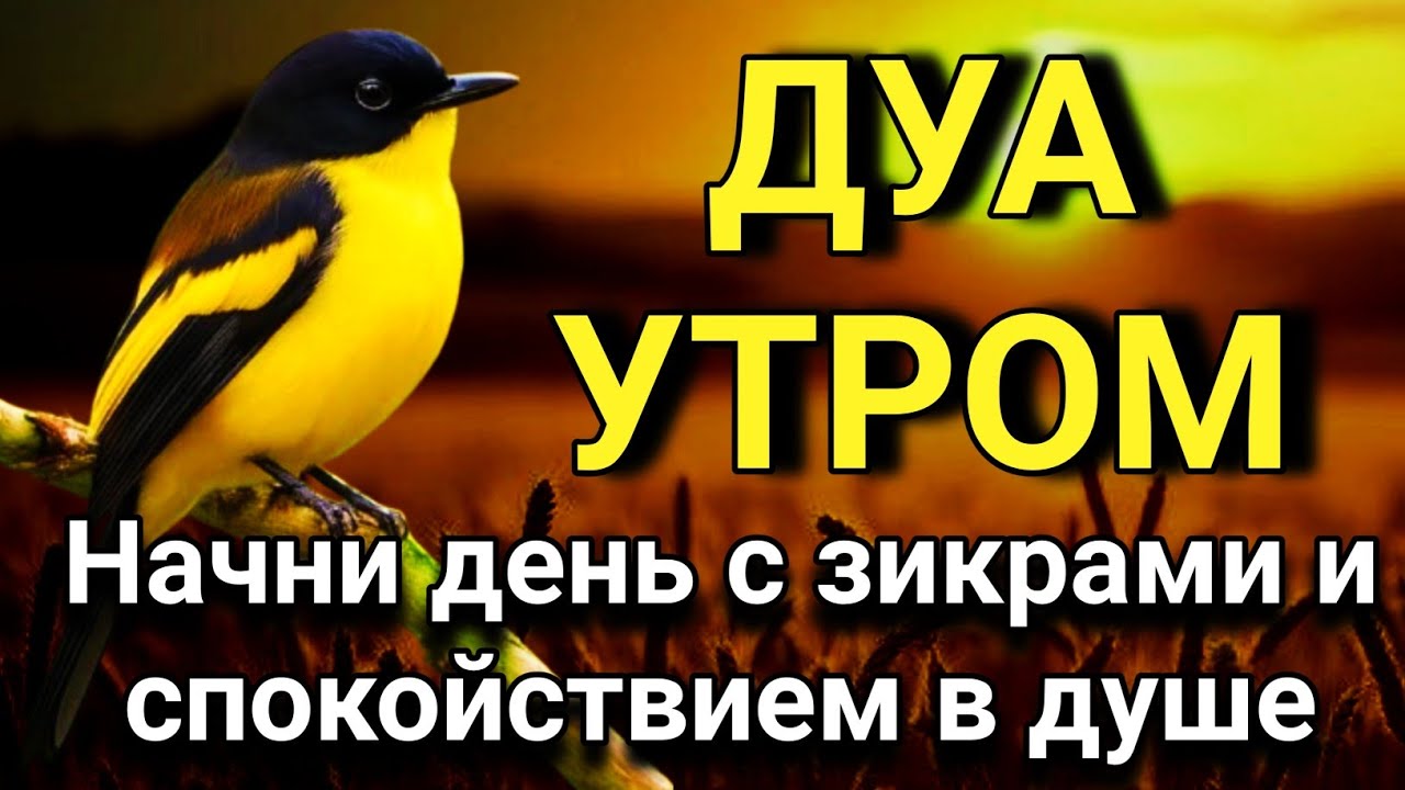 💓🌟 СИЛЬНЕЙШЕЕ ДУА УТРОМ ОТ ВСЕХ БЕД 🕋🔑💯